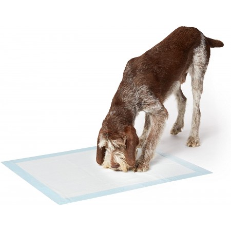 Meidong Dog Urinal Training Pad Regular Absorption