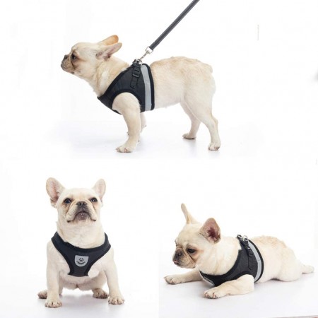 Meidong Cat Harness and Leash for Walking, Escape Proof Soft Adjustable Vest Harnesses for Medium Large Cats, Easy Control Breathable Pet Safety Jacket with Reflective Strips & 1 Metal Leash Ring