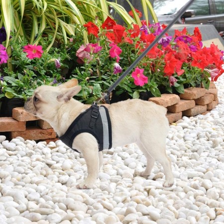 Meidong Cat Harness and Leash for Walking, Escape Proof Soft Adjustable Vest Harnesses for Medium Large Cats, Easy Control Breathable Pet Safety Jacket with Reflective Strips & 1 Metal Leash Ring