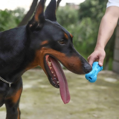 Meidong Dog Toothbrush Care Cleaning Stick - Dog Toothbrush Chew Toy Stick for Dog Dental Care- Safe, Bite Resistant Natural Rubber Toy Bone for Teeth Cleaning- Suitable for All Breed of Dogs