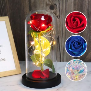 Meidong Galaxy Enchanted Red Rose, Silk Rose Under Glass Dome with Led Light, Mother's Day, Home/Office Decor, Anniversary, Valentine's Day Best Gifts for Girlfriend Wife Women(Red)