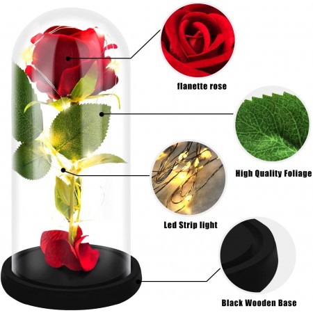 Meidong Galaxy Enchanted Red Rose, Silk Rose Under Glass Dome with Led Light, Mother's Day, Home/Office Decor, Anniversary, Valentine's Day Best Gifts for Girlfriend Wife Women(Red)