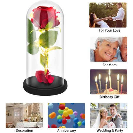 Meidong Galaxy Enchanted Red Rose, Silk Rose Under Glass Dome with Led Light, Mother's Day, Home/Office Decor, Anniversary, Valentine's Day Best Gifts for Girlfriend Wife Women(Red)