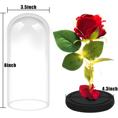 Meidong Galaxy Enchanted Red Rose, Silk Rose Under Glass Dome with Led Light, Mother's Day, Home/Office Decor, Anniversary, Valentine's Day Best Gifts for Girlfriend Wife Women(Red)