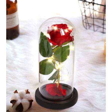 Meidong Galaxy Enchanted Red Rose, Silk Rose Under Glass Dome with Led Light, Mother's Day, Home/Office Decor, Anniversary, Valentine's Day Best Gifts for Girlfriend Wife Women(Red)