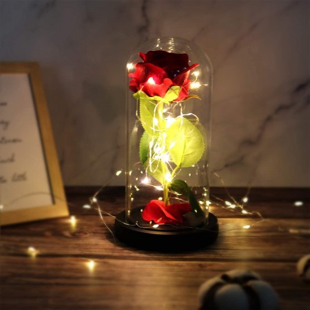 Meidong Galaxy Enchanted Red Rose, Silk Rose Under Glass Dome with Led Light, Mother's Day, Home/Office Decor, Anniversary, Valentine's Day Best Gifts for Girlfriend Wife Women(Red)