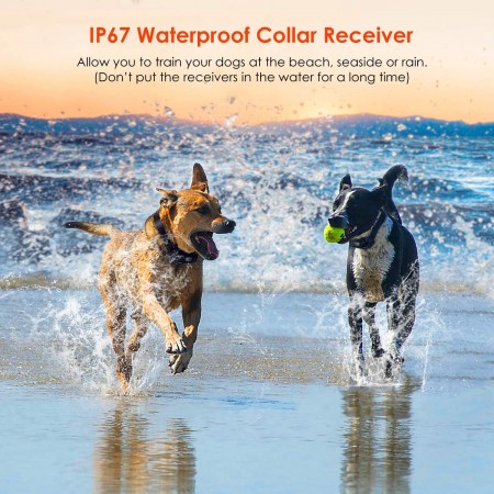Meidong Shock Collar for Dogs, 2020 Upgraded Dog Training Collar with Remote 2600FT, Pet Trainer Collar IP67 Waterproof, Rechargeable w/Beep, 99 Levels Vibration Shock Modes for Small, Medium, Large