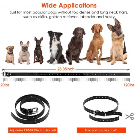 Meidong Shock Collar for Dogs, 2020 Upgraded Dog Training Collar with Remote 2600FT, Pet Trainer Collar IP67 Waterproof, Rechargeable w/Beep, 99 Levels Vibration Shock Modes for Small, Medium, Large