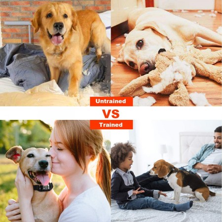 Meidong Shock Collar for Dogs, 2020 Upgraded Dog Training Collar with Remote 2600FT, Pet Trainer Collar IP67 Waterproof, Rechargeable w/Beep, 99 Levels Vibration Shock Modes for Small, Medium, Large